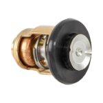 Honda Marine Termostat 50 grader BF75-BF150AK2 (19300-ZY6-003)