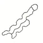 Honda Marine Vattenmantelpackning BF60 (19371-ZZ3-010)